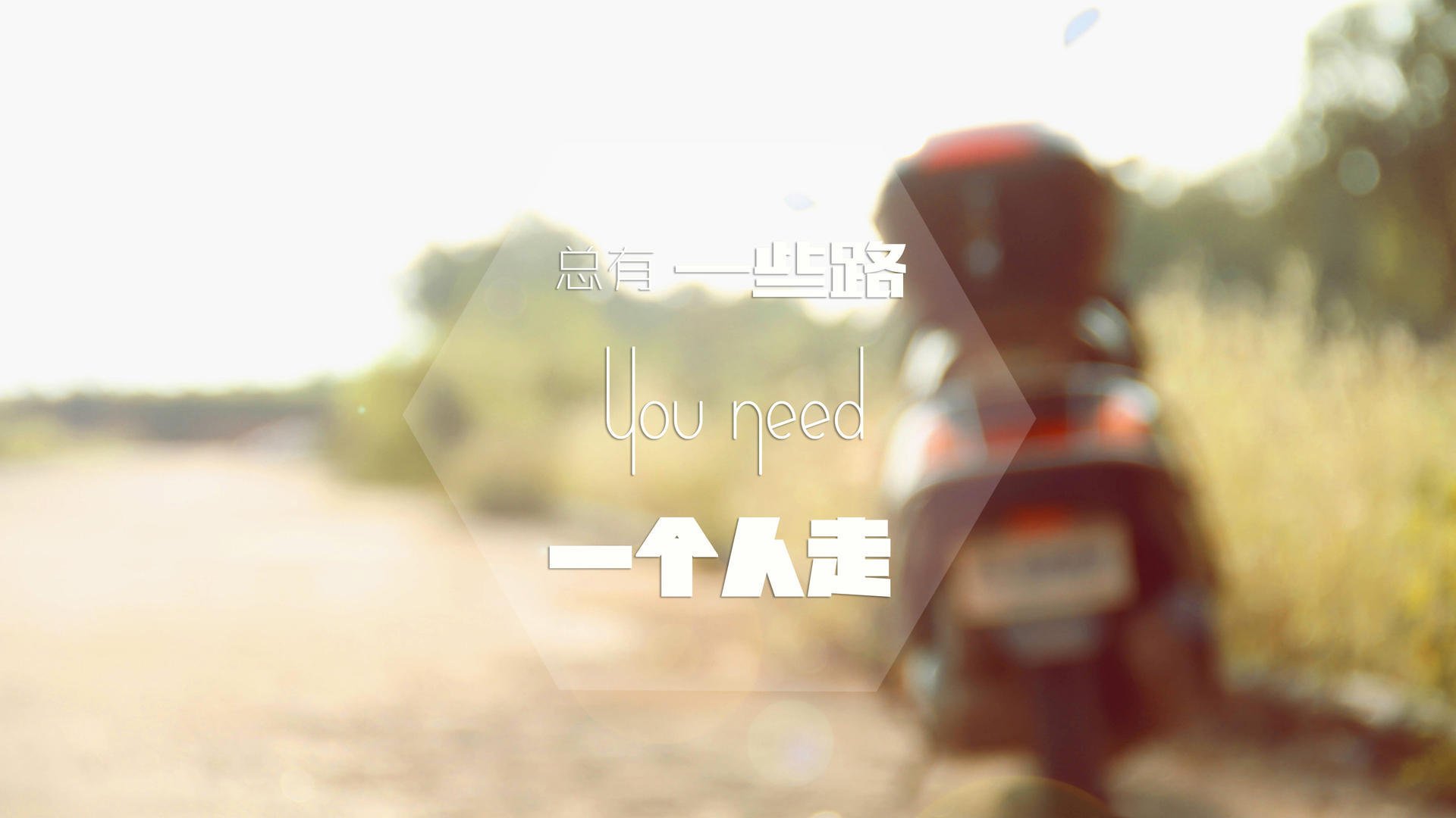 开云·体育官网-伊朗马术协会推出马匹健康管理系统，提升马匹福利。，伊朗 马赛克  第2张