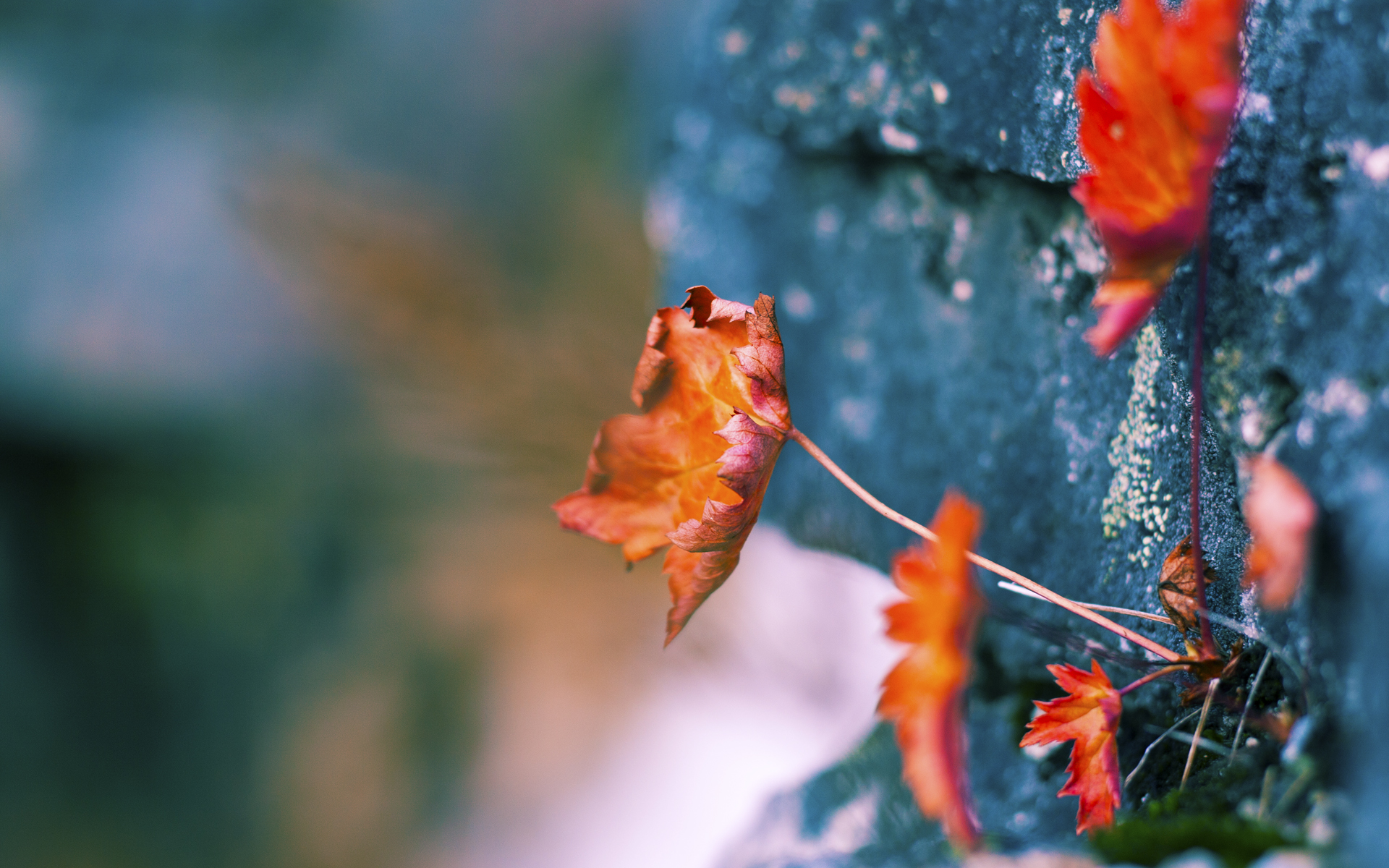 开云电竞-坦克世界年度冠军争夺赛火热开战,坦克大战一触即发 第3张 开云电竞-坦克世界年度冠军争夺赛火热开战,坦克大战一触即发 第3张