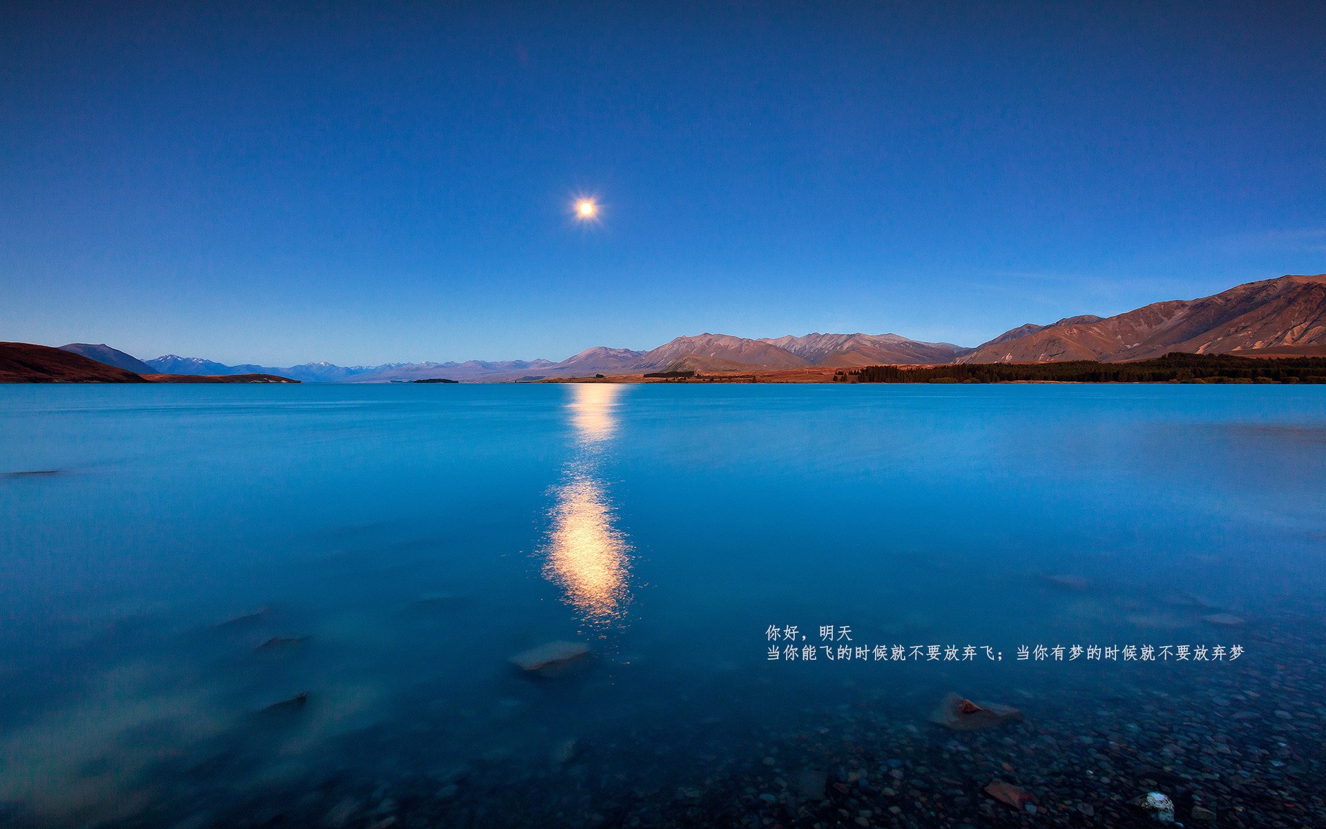 开yun体育-技术统计：投篮命中率北京46%，上海44%，拼出胜负，投篮命中率和真实投篮命中率